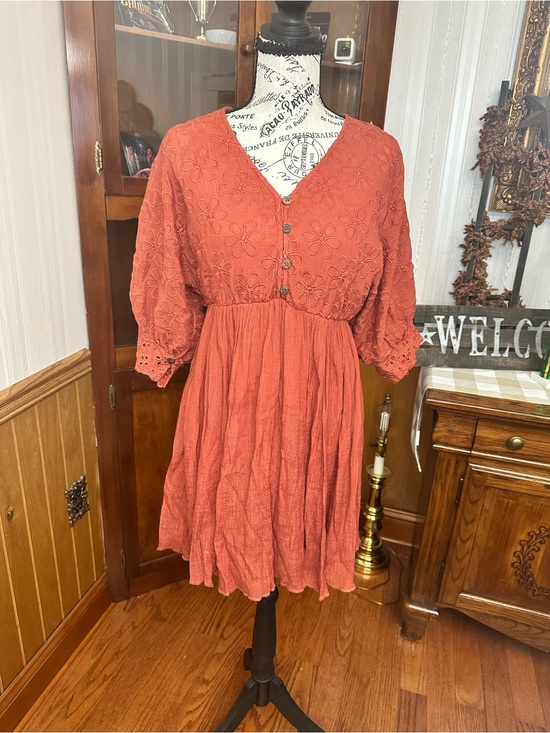 Rebellion Dresses & Skirts - Rebellion Rust Eyelet V-Neck Mini Dress